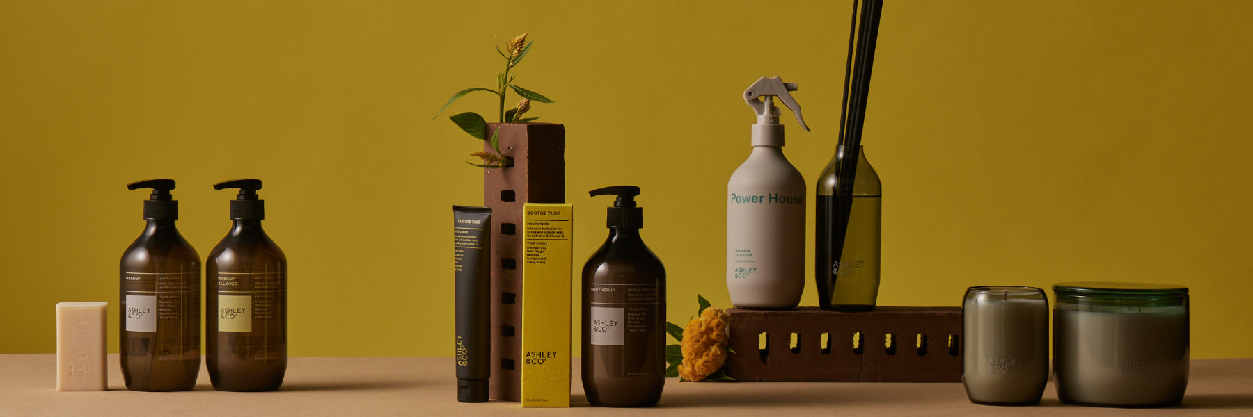 Ashley & Co. / Hand & Body
