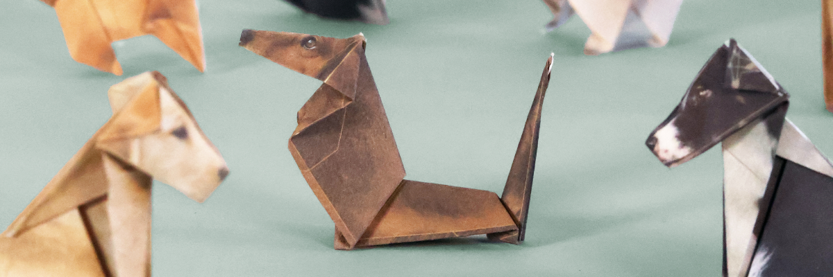 Pikkii / Paper Creations