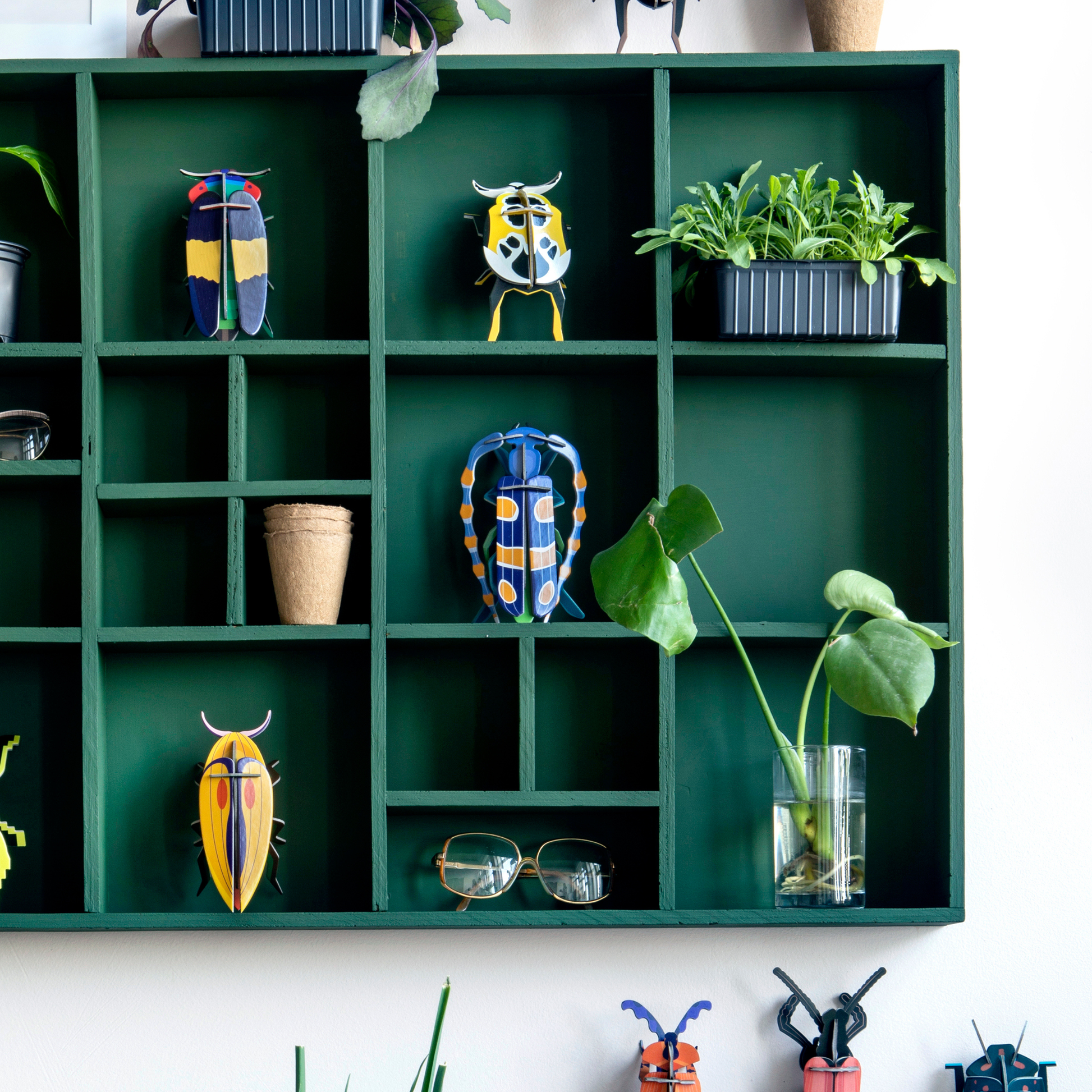Studio Roof Wall Art Beetles (B7) Rosalia Beetle