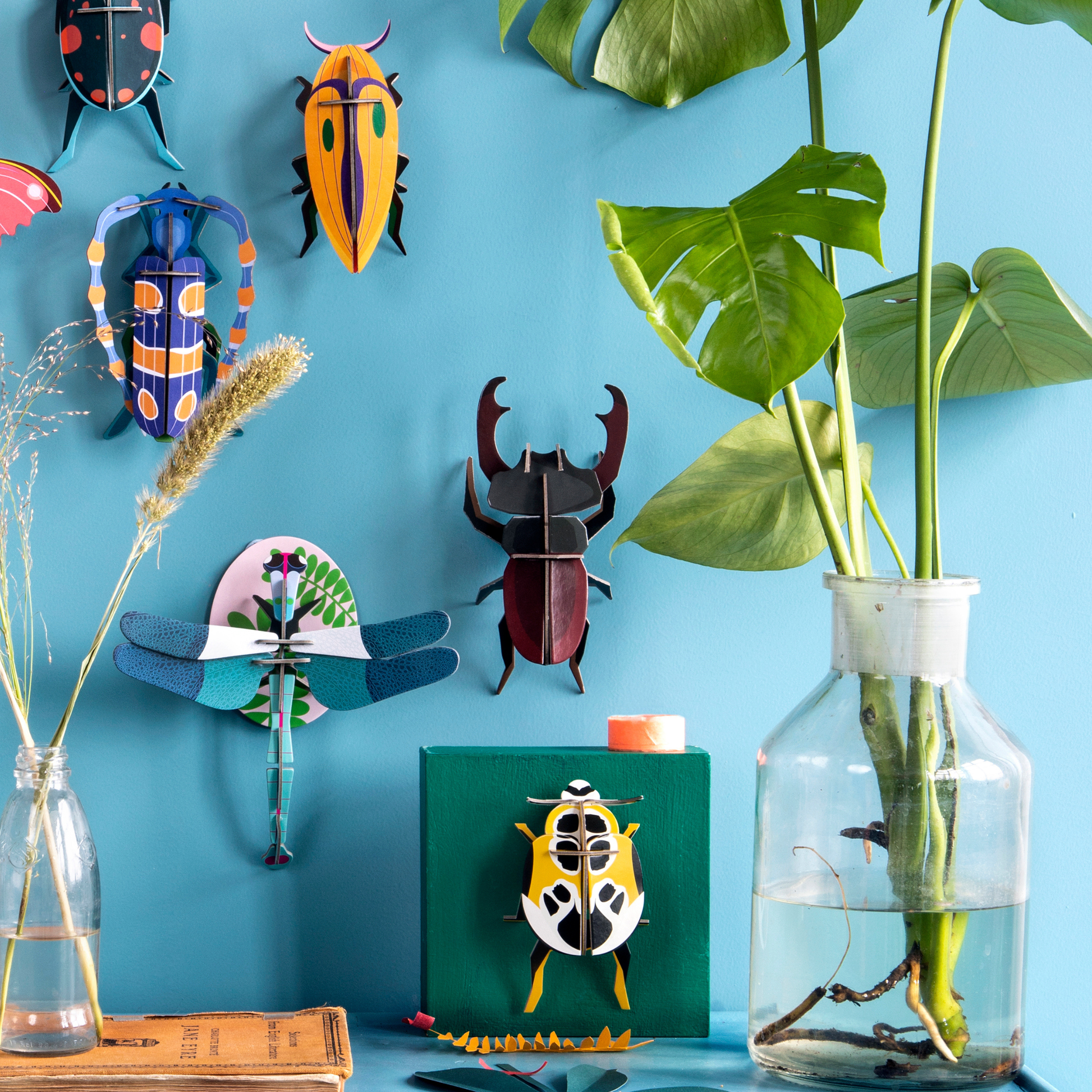 Studio Roof Wall Art Beetles (B7) Stag Beetle