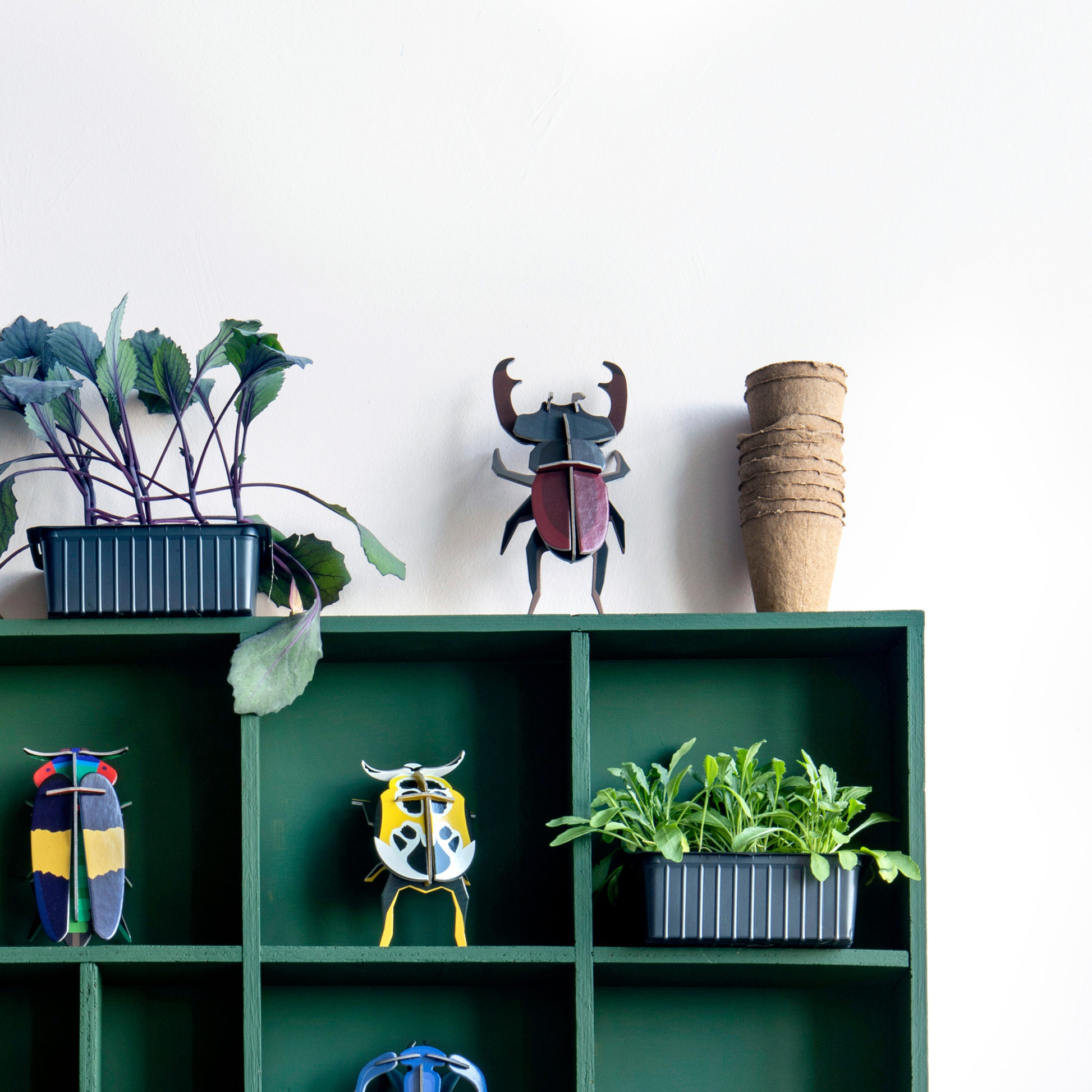 Studio Roof Wall Art Beetles (B7) Stag Beetle
