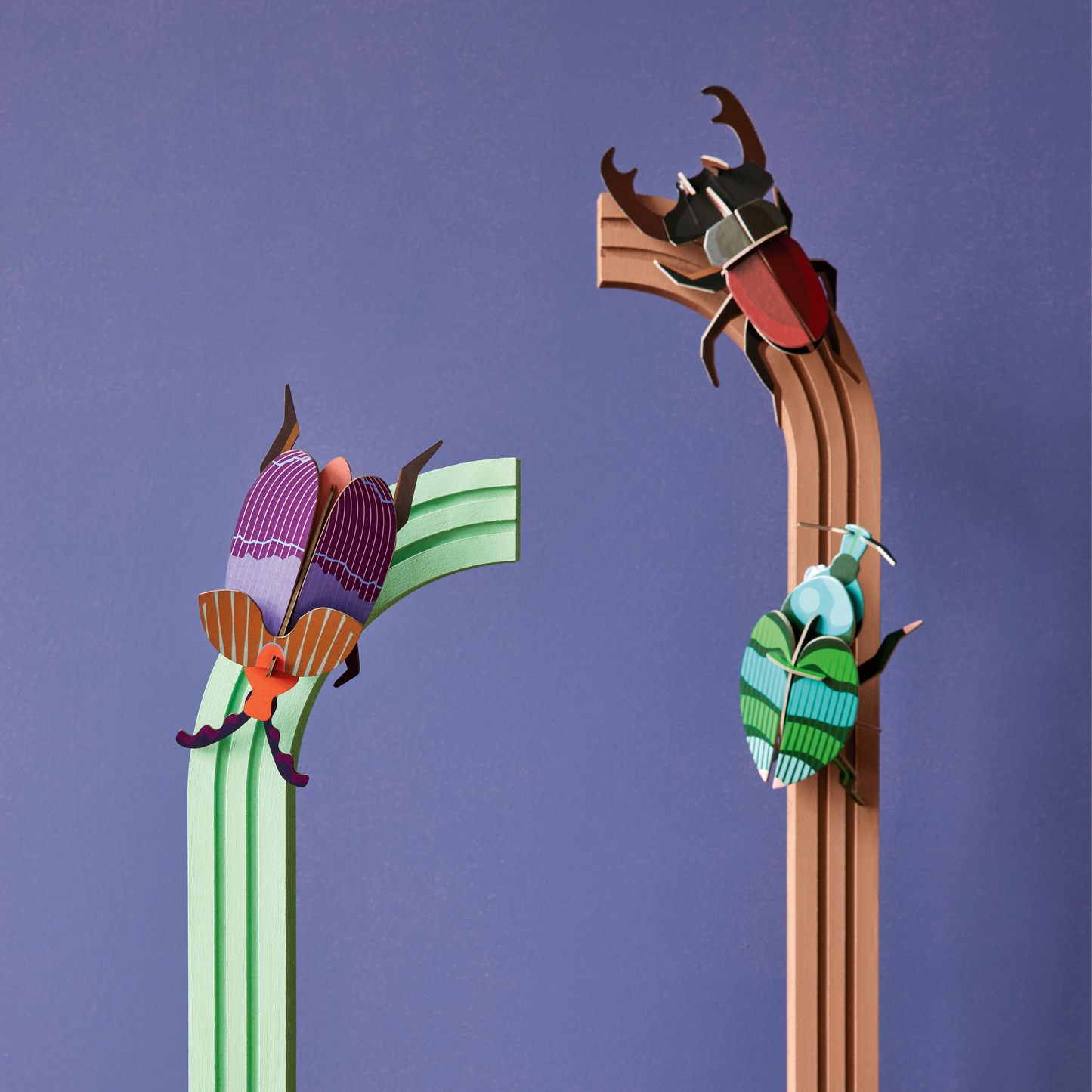 Studio Roof Wall Art Beetles (B7) Stag Beetle
