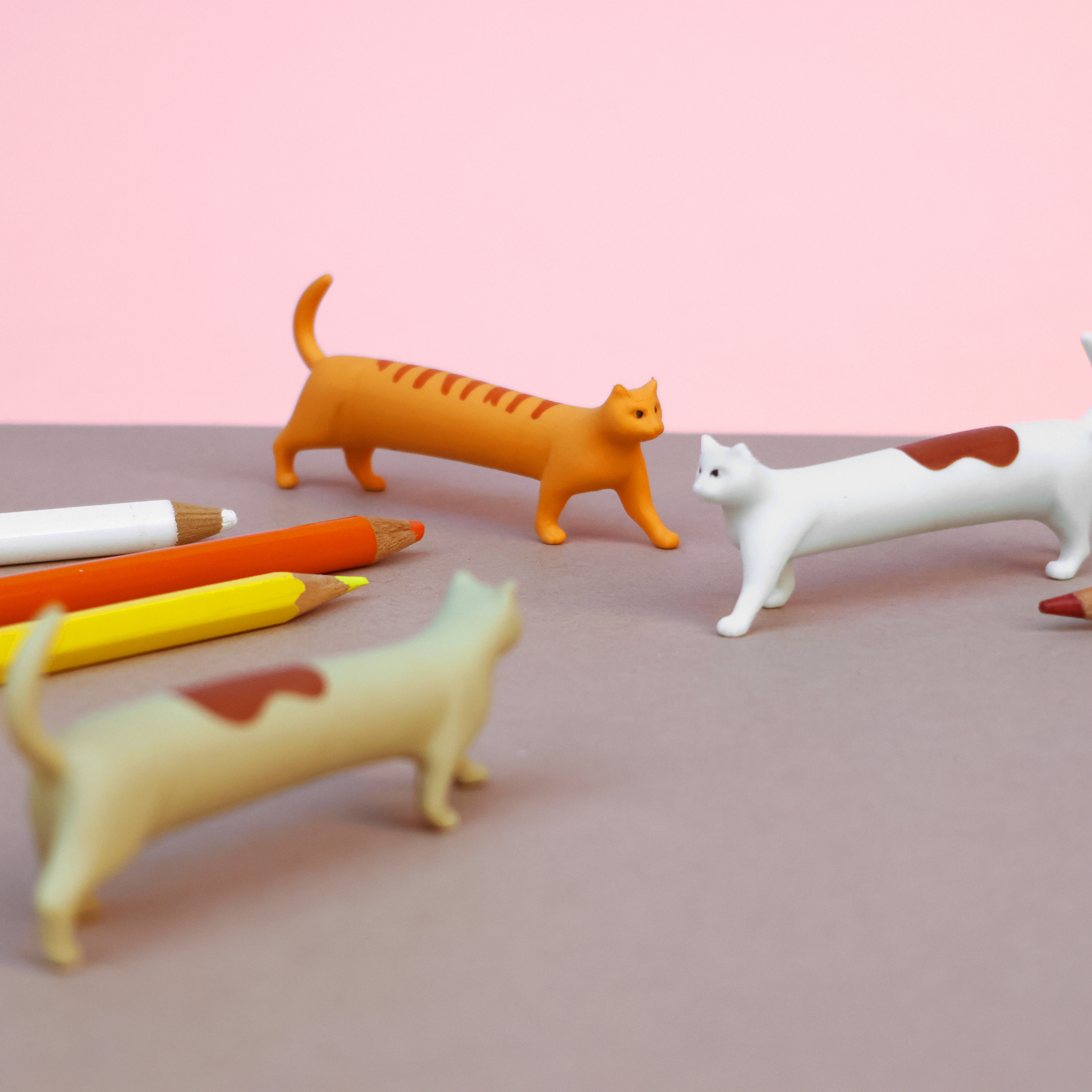 Suck UK Erasers Cat